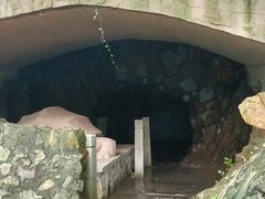 -上海佘山国家森林公园天马山园