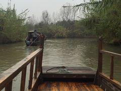 -溱湖国家湿地公园