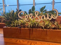 -Seesaw Coffee(朝阳大悦城店)