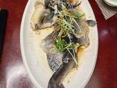 清蒸剑骨鱼-侗乡国宾馆中餐厅
