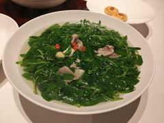 鲜瑶柱肉片浸枸杞芽-炳胜公馆(珠江新城店)