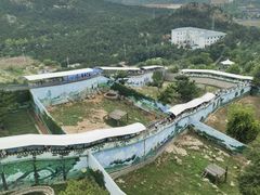 -西霞口神雕山野生动物世界