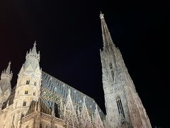 -斯蒂芬主教座堂(Stephansdom)