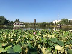 -西海子公园