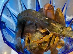 -小天鹅戴斯酒店鲸鲨百汇创作料理