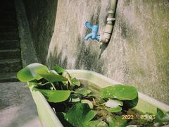 -都江堰普照寺