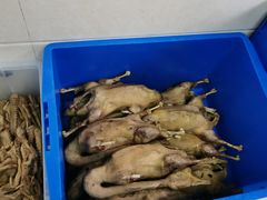 -正宗忘不了老鹅(梅岭店)