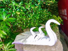 -天目湖涵田半山温泉