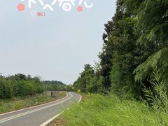 -南京老山国家森林公园