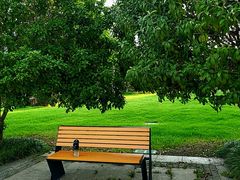 -九里河湿地公园