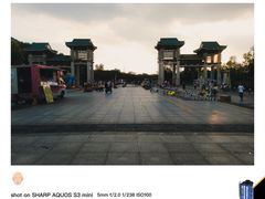 -王借岗森林公园