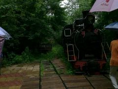 -五营红松林海景区