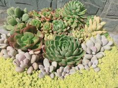 -天龙八部武侠城