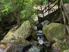 -牛鱼嘴原始生态风景区