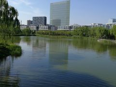 -大兴滨河森林公园