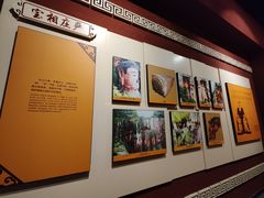 -乐山市博物馆