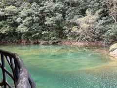 -龙湾潭国家森林公园