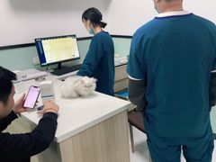 -嘉馨宠物医院·CT影像转诊·心脏科·犬猫全科诊疗中心(下沙大学城院区)