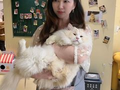 -藏猫猫咖啡主题馆(中央大道店)