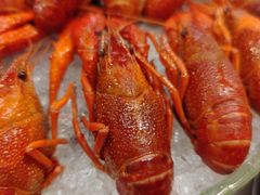 -赤甲皇(仙霞路店)