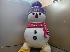 -绍兴启迪乔波冰雪世界