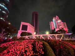 -小桃园餐厅