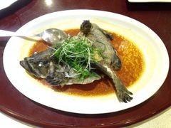清蒸老虎斑-南海食街(佛冈店)