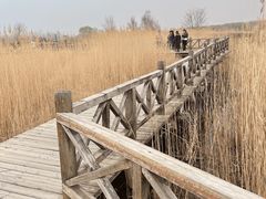 -野鸭湖国家湿地公园