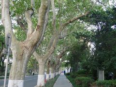 -华东理工大学·停车场