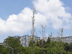 -黄兴公园