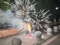 -长虫山生态公园风景林