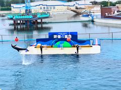 -秦皇岛乐岛海洋王国