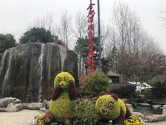 -合肥滨湖国家森林公园