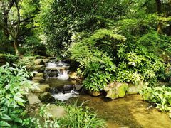 -中国茶叶博物馆(双峰馆区)