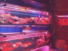 -桂林市花鸟市场