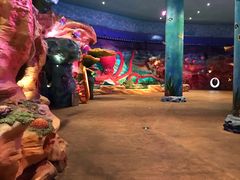 -青岛嘉年华主题乐园