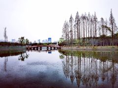 -黄兴公园