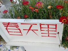 -春天里餐厅·云南创意菜特色美食(束河店)