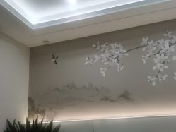点击看大图 -重庆星宸整形美容医院