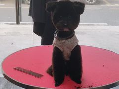 -关爱动物医院·心脏·中兽医·异宠(金牛路分院)