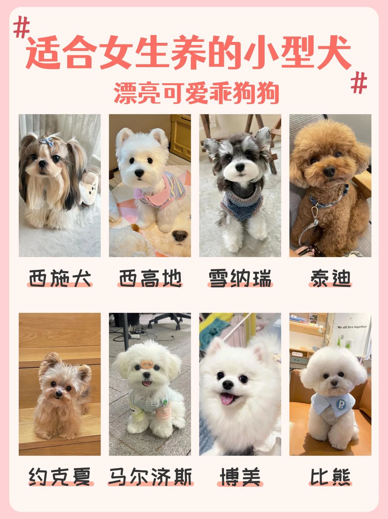上海教育合同哈希娱乐- 哈希游戏平台- 哈希游戏官方网站诉讼律师