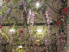 -鸭匠食府·挂炉烤鸭·新京菜(阜成路店)