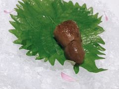 酒炙海参-觀芷隐轩
