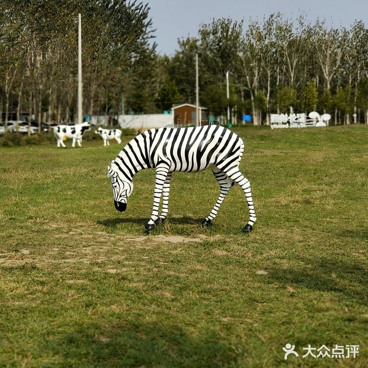 天然氧吧！孩子玩的都有[糖果][糖果][糖果]