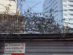 -吴家馄饨