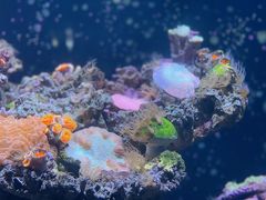 -海合安天津极地海洋公园