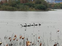 -公益图书馆(江南大学店)