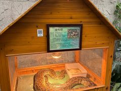 -上海大自然野生昆虫馆(东方明珠·爬宠昆虫探索中心)