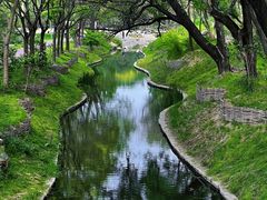 -北坞公园