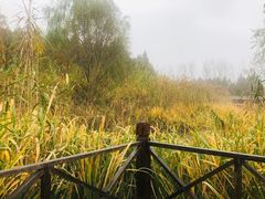 -溱湖国家湿地公园